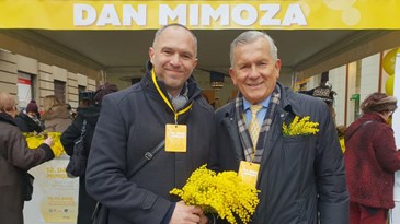 Obilježen 12. Dan mimoza: značajno smanjen broj oboljelih