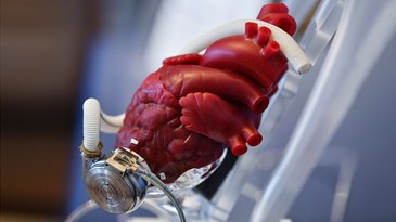 Obilježena 30. godišnjica prve transplantacije srca na Rebru
