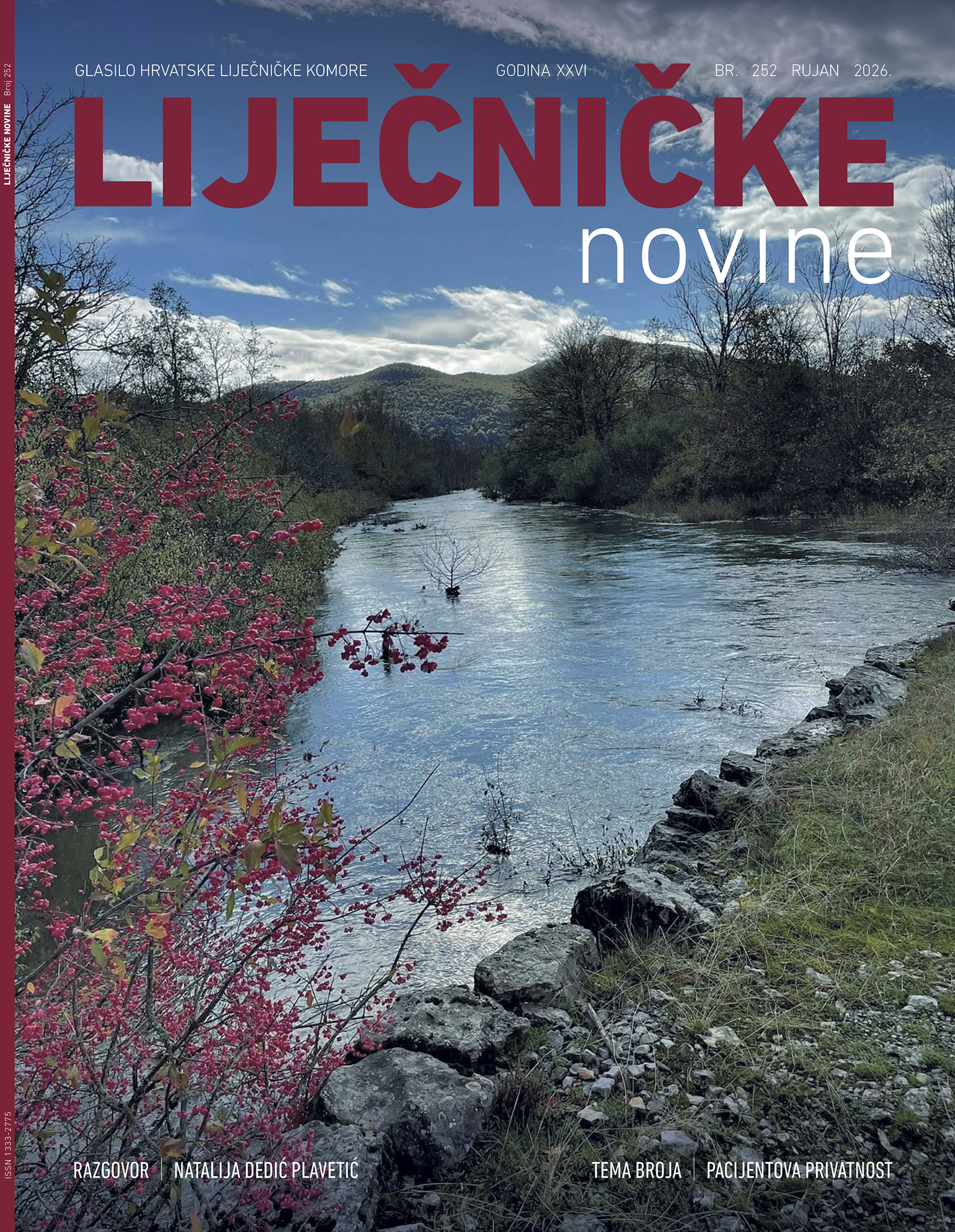 Liječničke novine br. 250